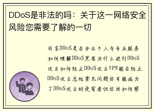 DDoS是非法的吗：关于这一网络安全风险您需要了解的一切