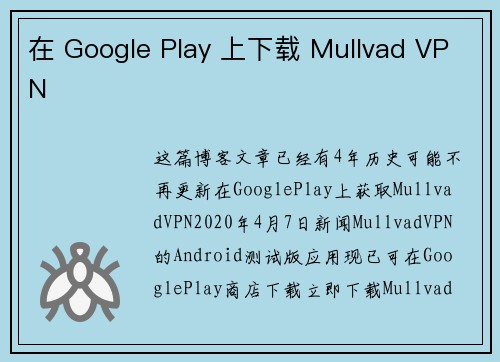 在 Google Play 上下载 Mullvad VPN 